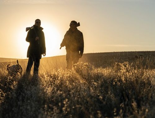 Father’s day: give a day of hunting!